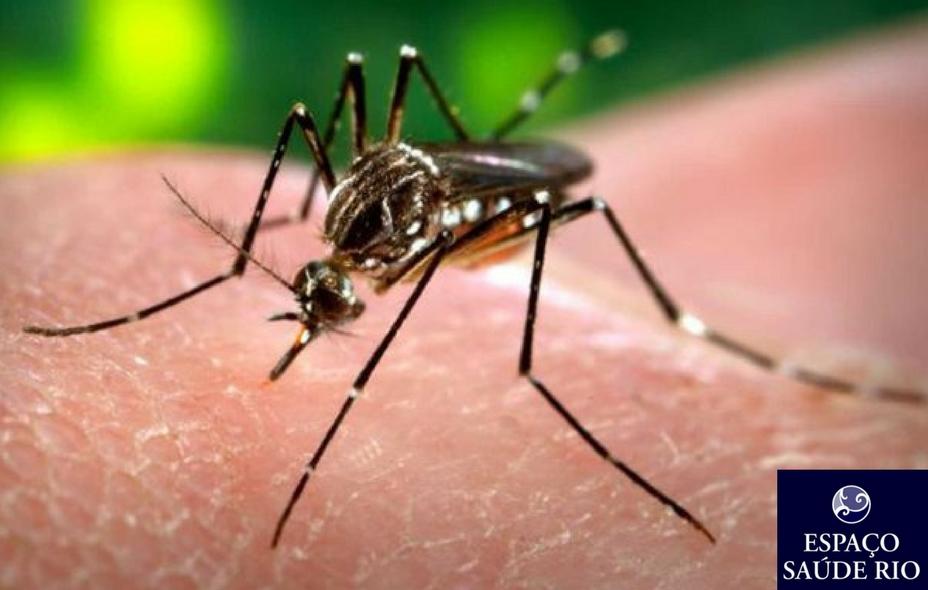 VOCÊ ESTÁ PREPARADO PARA O VÍRUS ZIKA 1